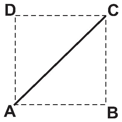Alternativa D