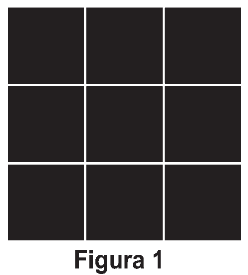 Figura da questão
