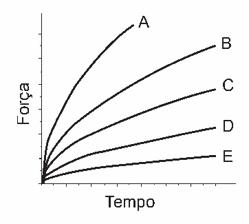 Alternativa C