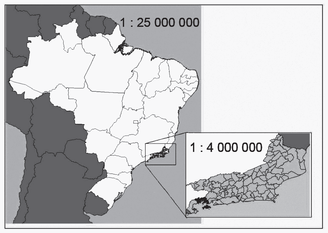 Figura da questão