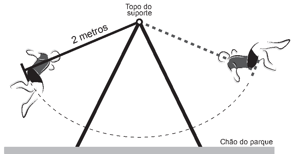 Figura da questão