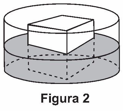 Figura da questão