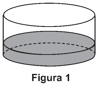 Figura da questão
