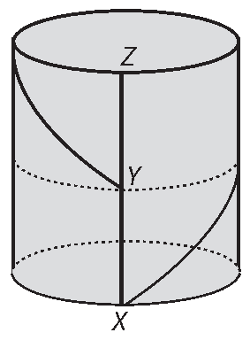 Alternativa C