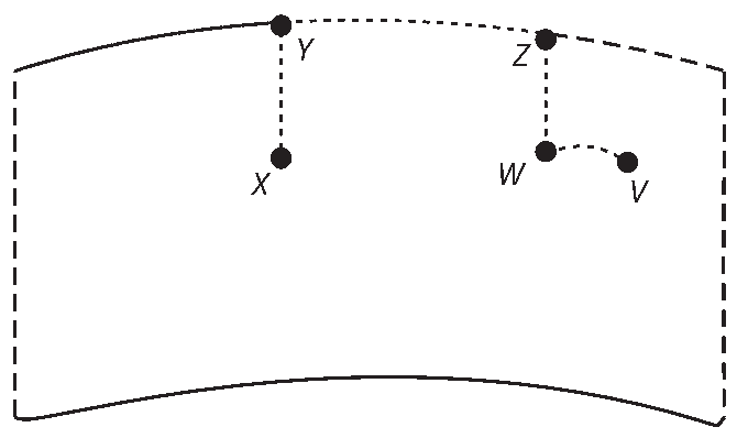 Alternativa D