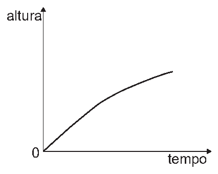 Alternativa C