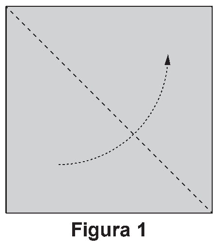 Figura da questão