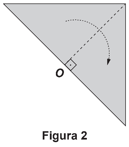 Figura da questão