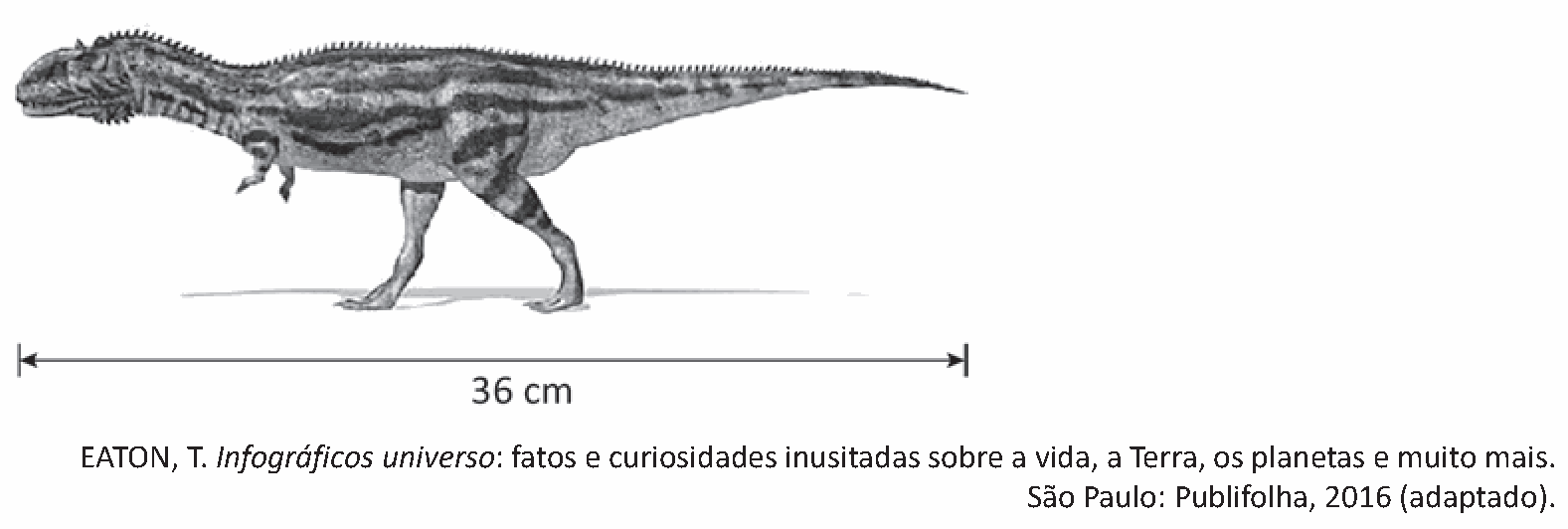 Figura da questão